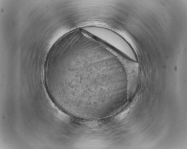 X0000088600999200706081348