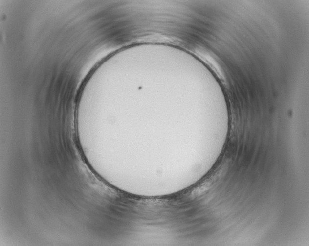 X0000088601000200706081348