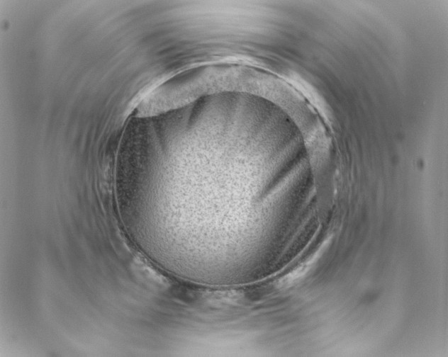 X0000088601001200706081348