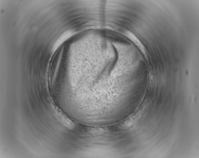 X0000088601002200706081348