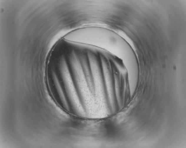 X0000088601005200706081348