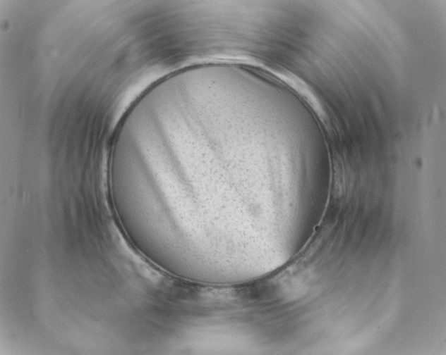 X0000088601006200706081348