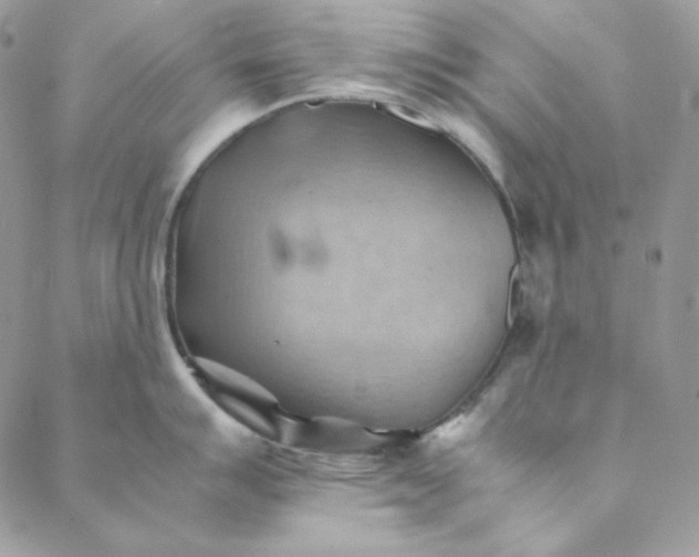 X0000088601007200706081348