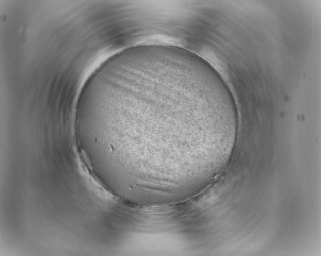 X0000088601008200706081348