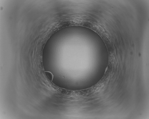 X0000088601009200706081347