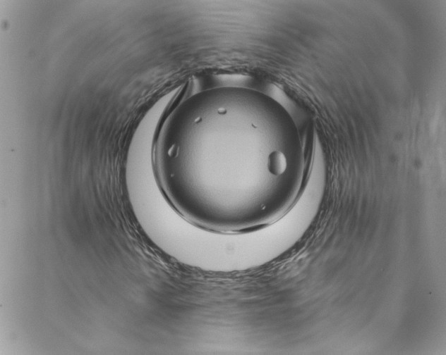 X0000088601010200706081347