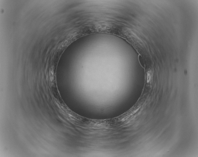 X0000088601011200706081347