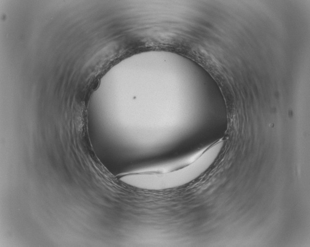 X0000088601012200706081347