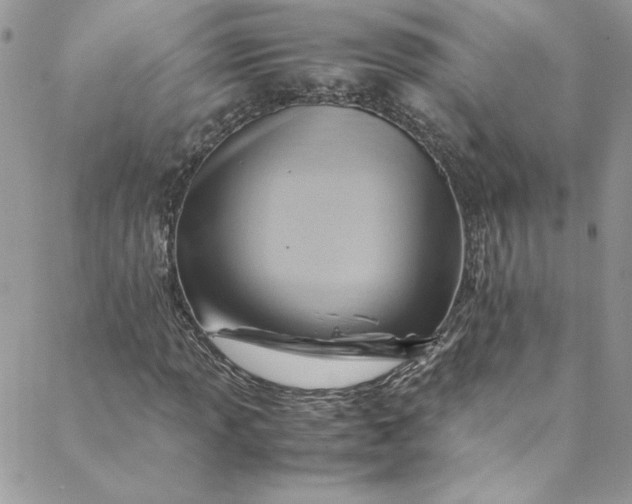 X0000088601013200706081347