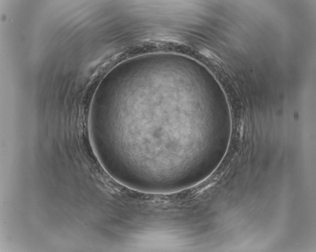 X0000088601014200706081347