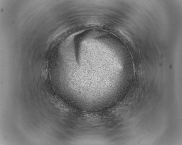 X0000088601015200706081347