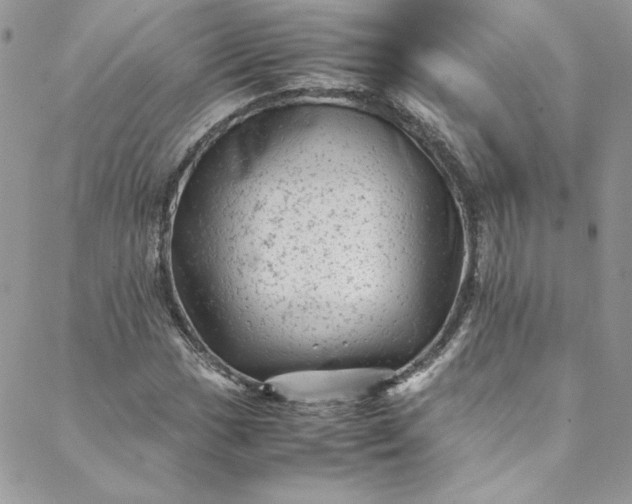 X0000088601017200706081347