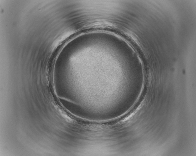 X0000088601018200706081347