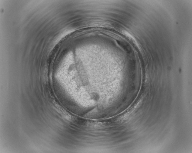 X0000088601019200706081347