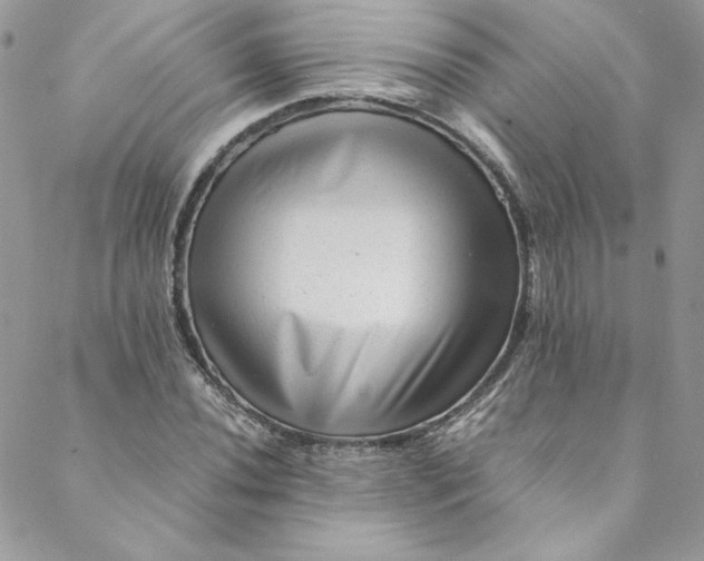 X0000088601020200706081347