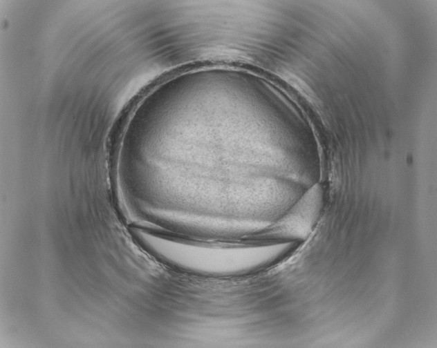 X0000088601022200706081347