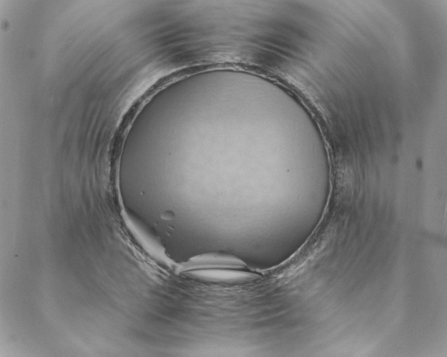 X0000088601023200706081347