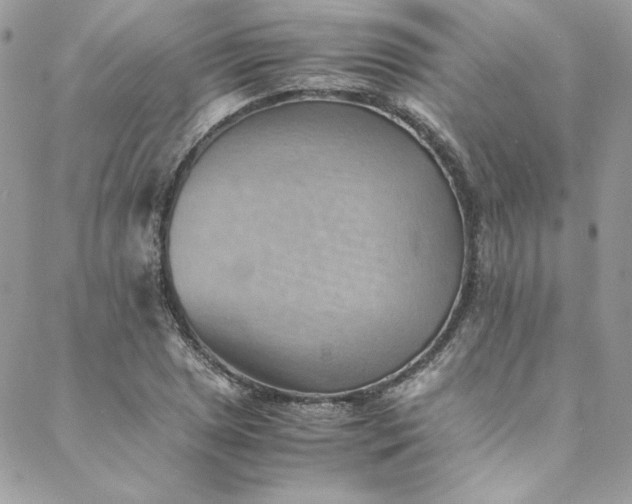 X0000088601025200706081347