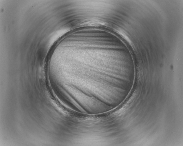 X0000088601026200706081347