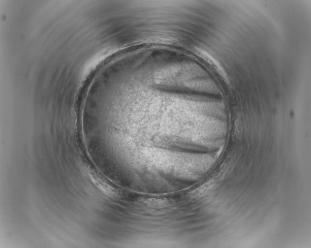 X0000088601027200706081347