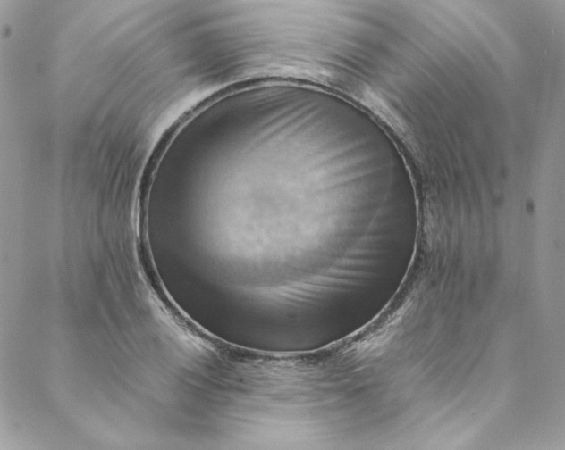 X0000088601028200706081347