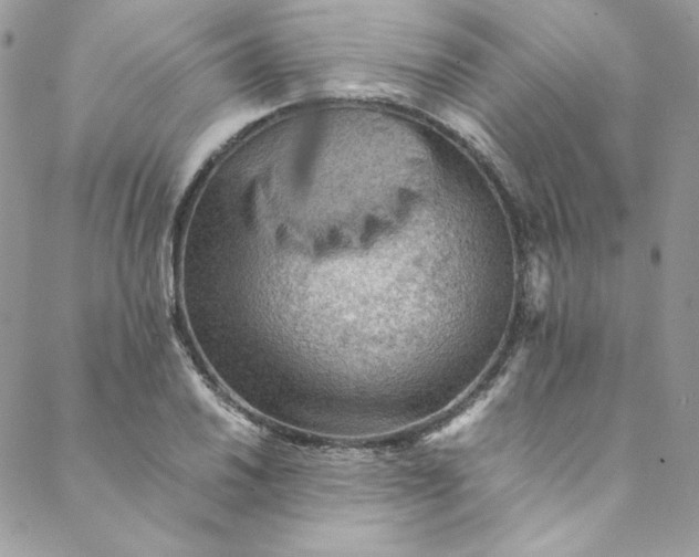 X0000088601030200706081347