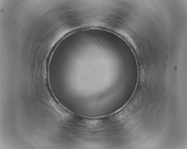 X0000088601031200706081347