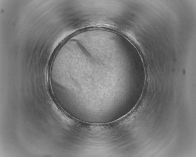 X0000088601032200706081347