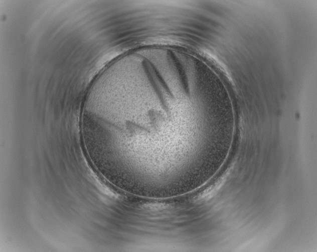 X0000088601033200706081347