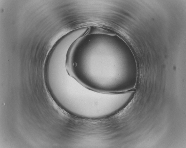 X0000088601034200706081347