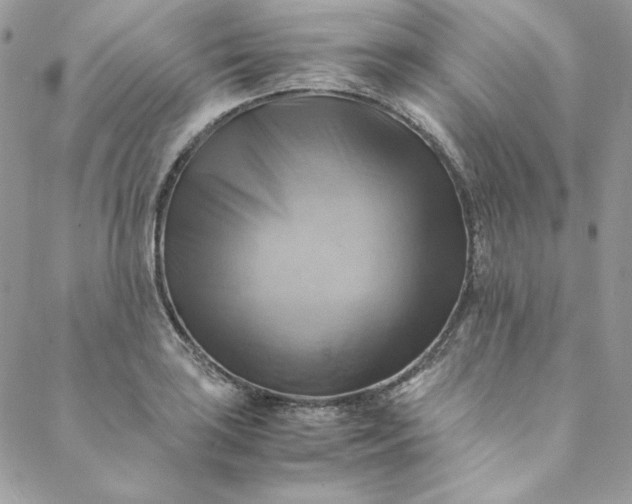 X0000088601035200706081347