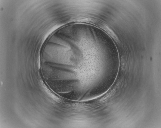 X0000088601036200706081347