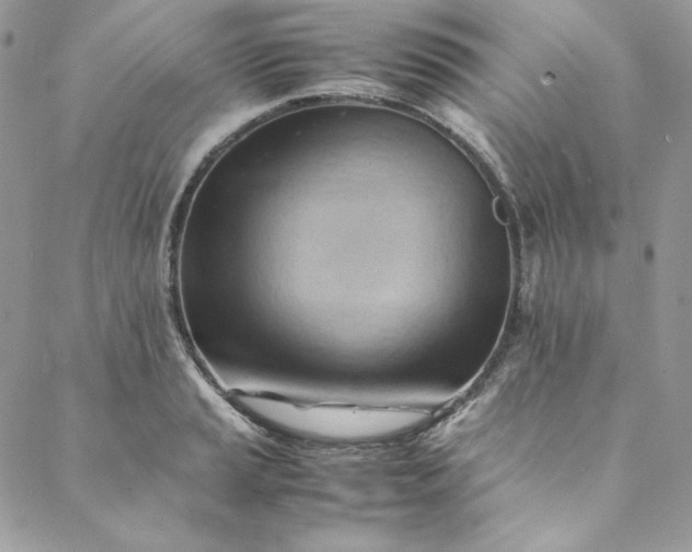 X0000088601037200706081347