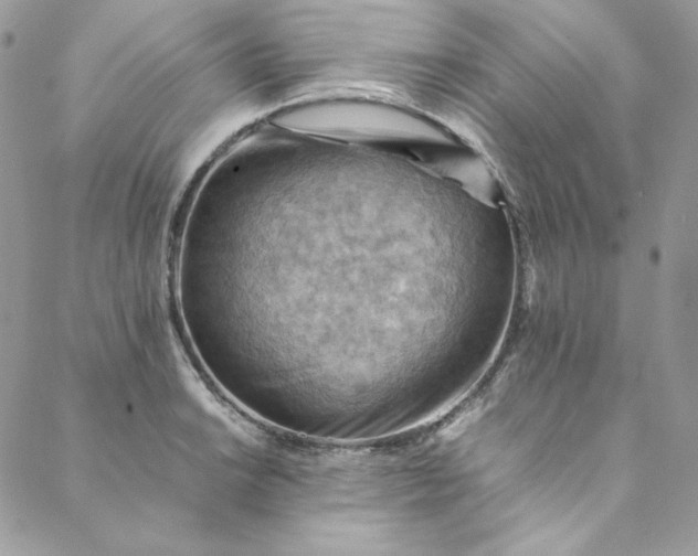 X0000088601038200706081347