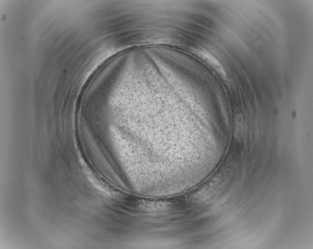 X0000088601039200706081347