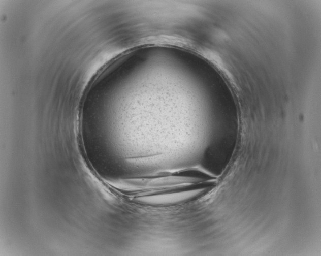 X0000088601040200706081348