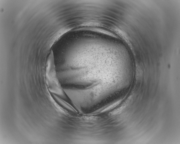 X0000088601041200706081348