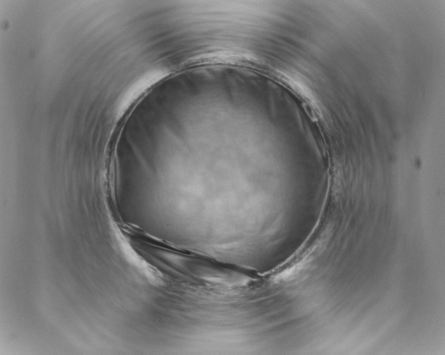 X0000088601042200706081348