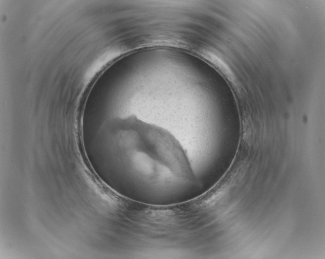 X0000088601043200706081348