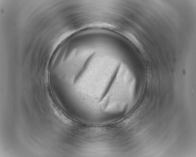 X0000088601044200706081348