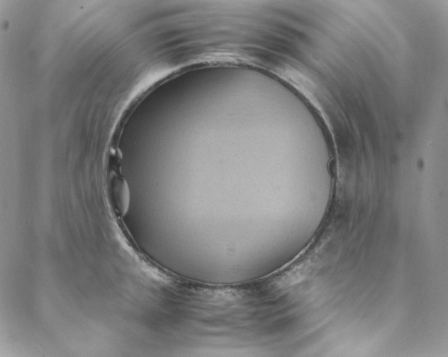 X0000088601045200706081348