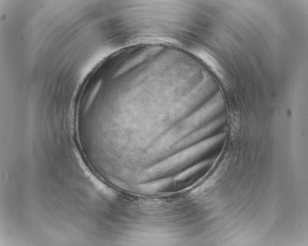 X0000088601046200706081348