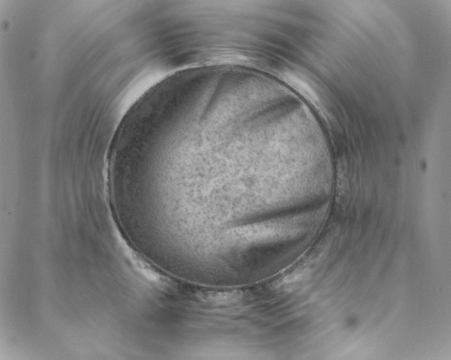 X0000088601047200706081348