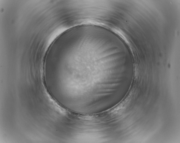 X0000088601048200706081348