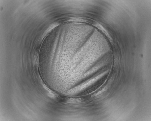 X0000088601049200706081348