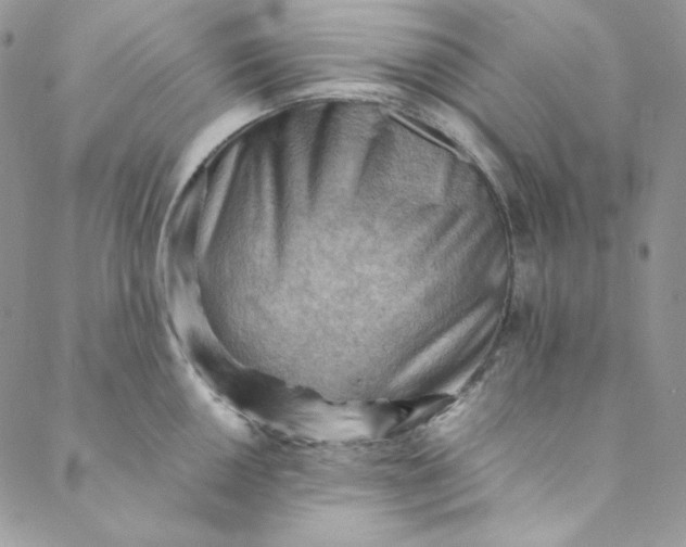 X0000088601050200706081348