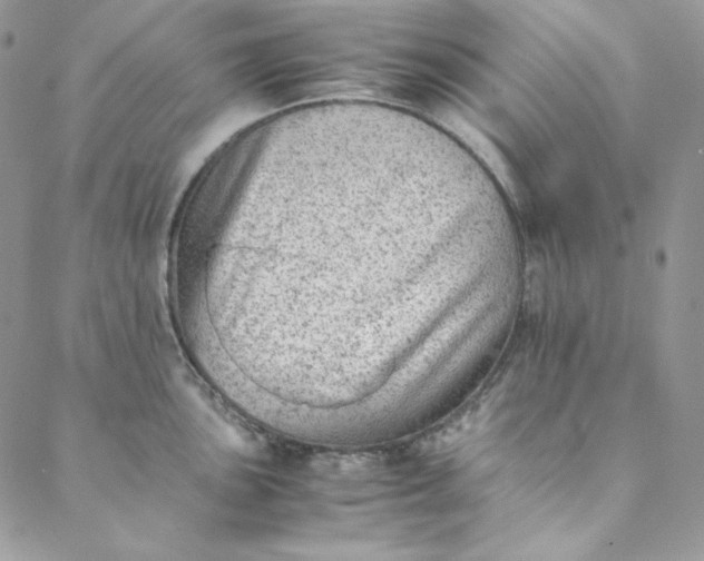 X0000088601051200706081348