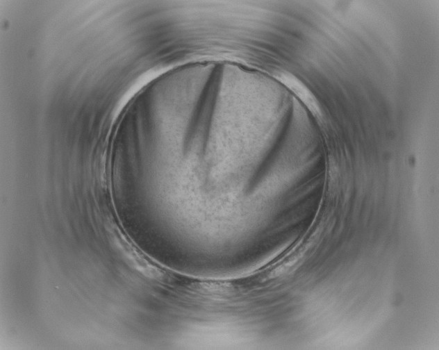 X0000088601052200706081348