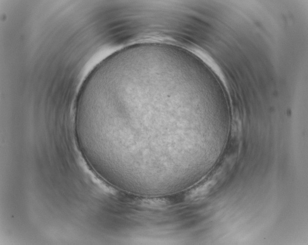 X0000088601053200706081348