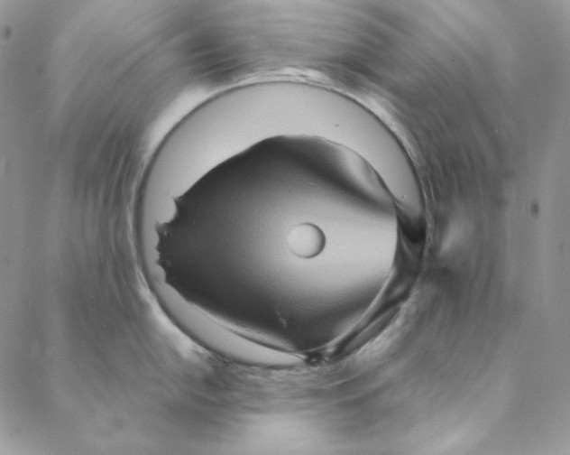 X0000088601054200706081348